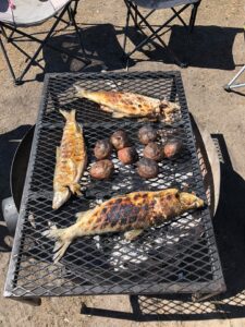 fish cooking on open fire