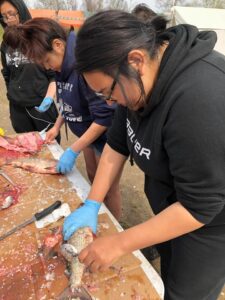 women cleaning fish