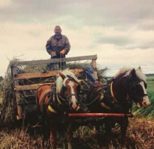 Man on cart with horses